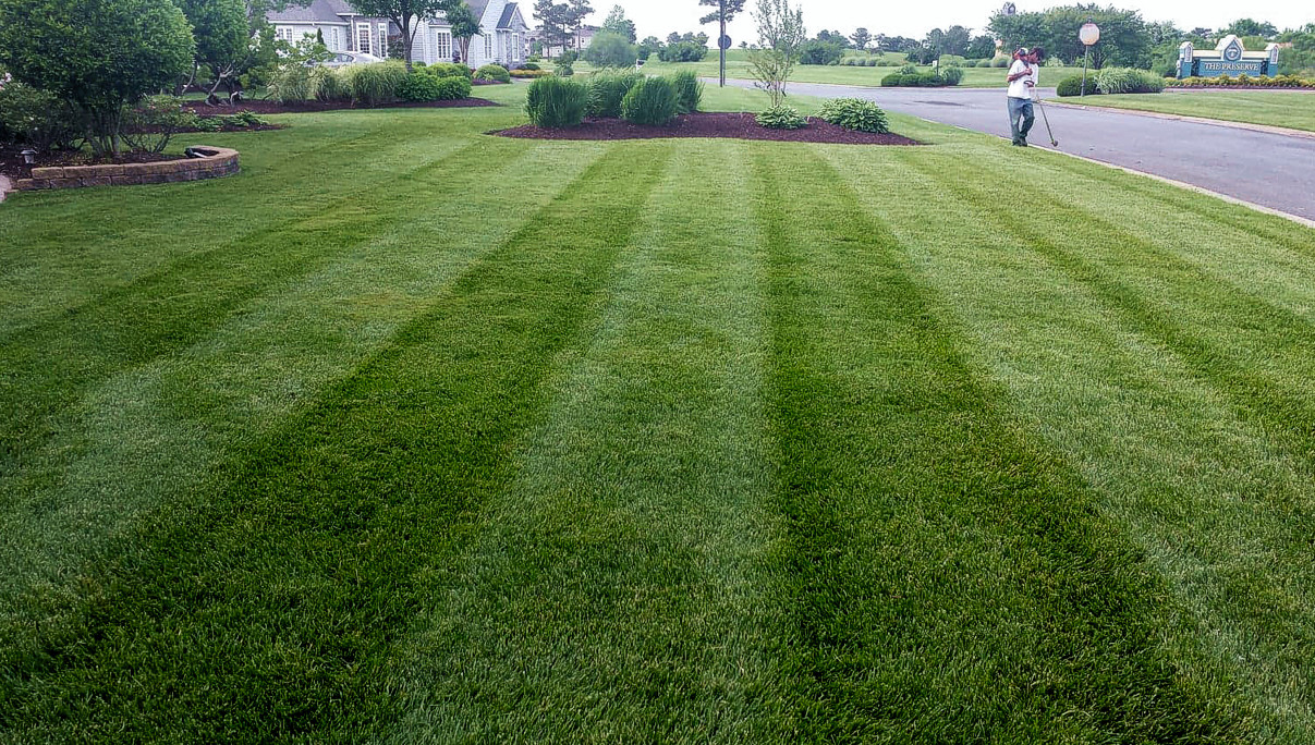 Professional lawn care on the Lower Eastern Shore